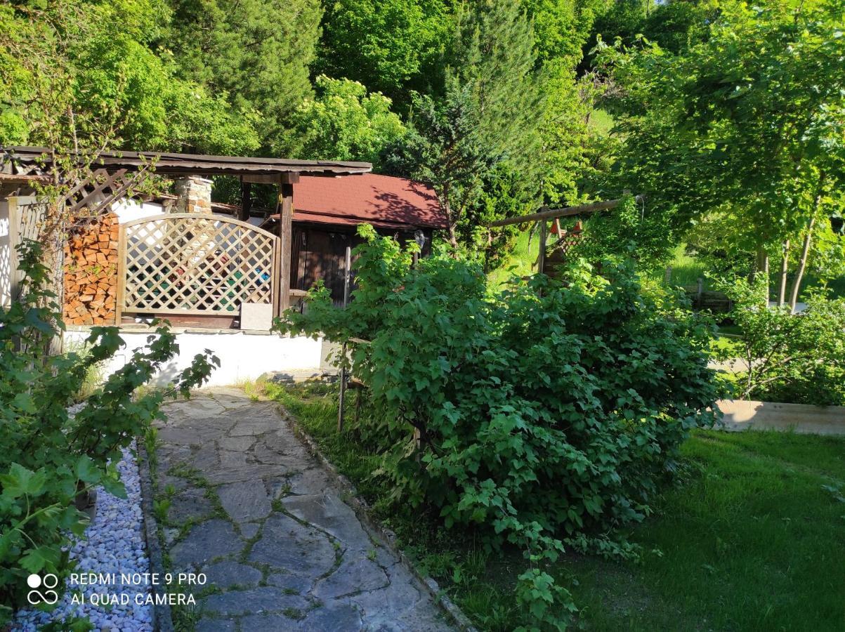 Ferienhaus Kraiter Apartment Schladming Exterior photo